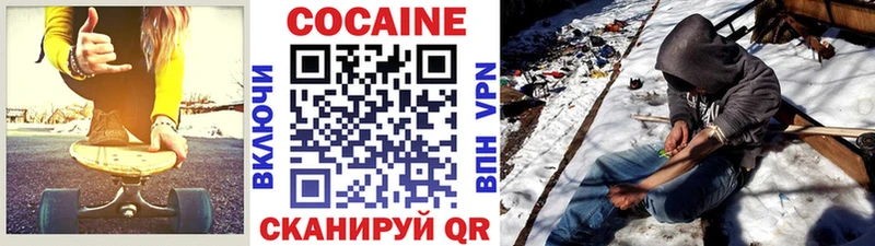 Cocaine Fish Scale  Купить закладки  Мензелинск 