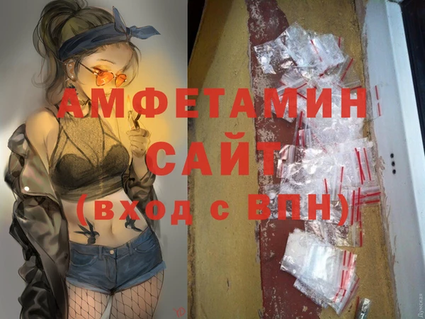 дурь Инсар