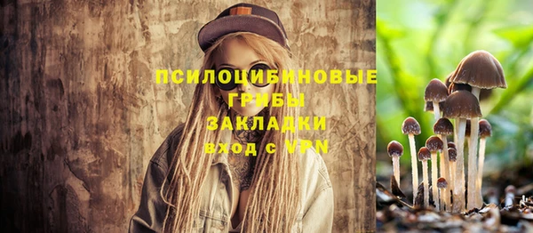 мдма Каменка