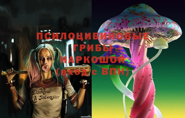 мдма Каменка