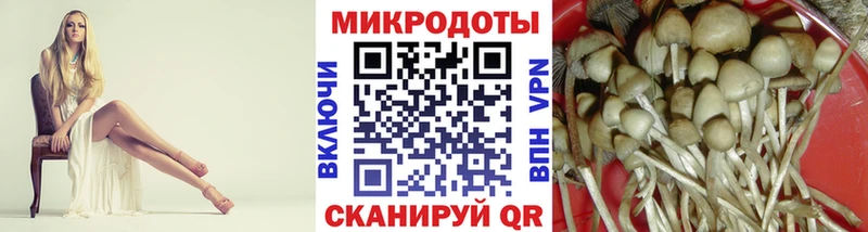 Галлюциногенные грибы GOLDEN TEACHER Мензелинск